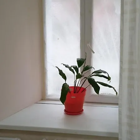 Apartment Двухкомнатная Квартира,500М И Дерибасовская,Всегда Есть Свет Odesa