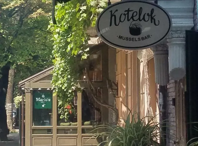 公寓 двухкомнатная квартира,500м и дерибасовская 敖德萨